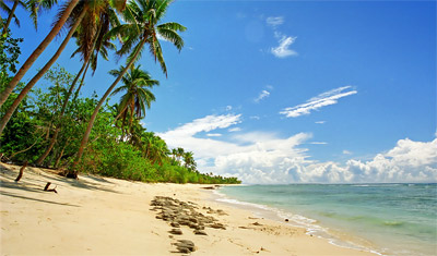 Paradisstrand på ön Uoleva, Tonga