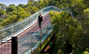 Kings Park, Perth