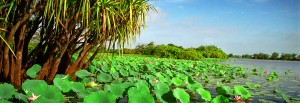 Darwin River, Australien