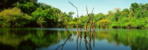 Amazonas, Brazil