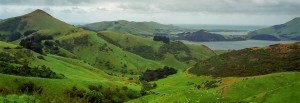Dunedin och Otago Peninsula, Nya Zeeland