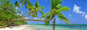 Uiha strand på Haiapa, Tonga
