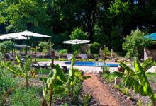 Poolen vid JK Murera Springs Eco Lodge