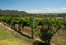 Audrey Wilkinson, Hunter Valley
