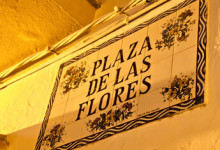 Plaza de las flores, Estepona