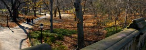 Central park, New York City