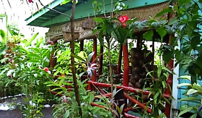 Seipepa reception, Apia Samoa