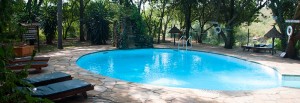 Poolen på Mara Intrepid Camp, Masai Mara Kenya