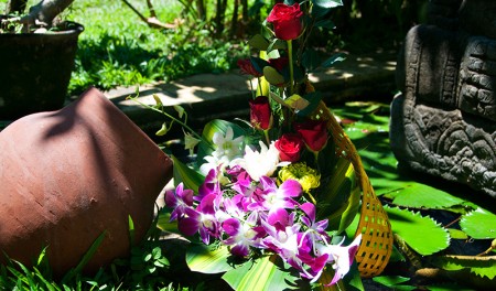 Fantastiska blommor, Waka Maya, Sanur Bali