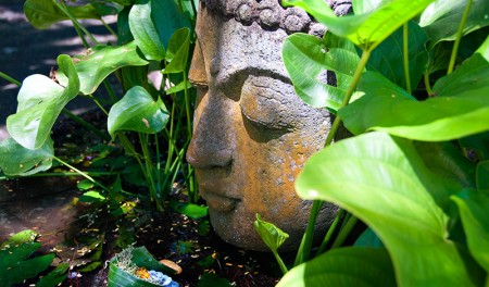 Buddha ansikte bland bladen på Waka Maya, Sanur Bali