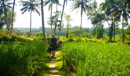 Ankomst till Bambu Indah, Ubud Bali