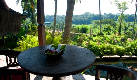 Utsikt från terassen på Padi House, Bambu Indah Ubud Bali