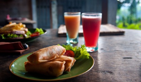 Vårrullar till lunch på Bambu Indah, Ubud Bali