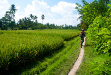 Anki cyklar längs vackra risfält i Tukad Ubud, Bali