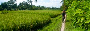 Anki cyklar längs vackra risfält i Tukad Ubud, Bali