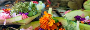 Header-Bali-2012