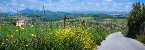 Reseskildring från ett blomstrande Andalusien i Spanien, Maj 2013