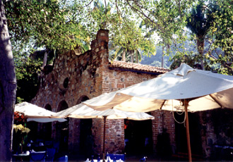 The night of the Iguana