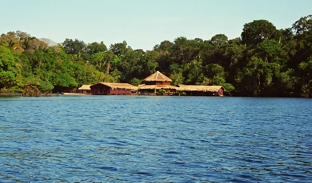 Morgon vid Amazon Lodge, sett från vattnet