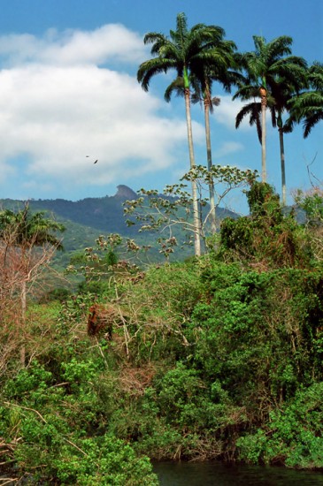 Ilha Grande vy från Praia Preto