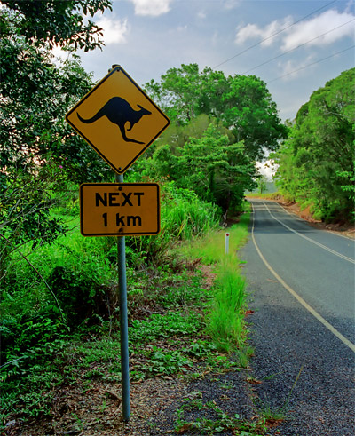 En skylt längs vägen som varnar för känguru