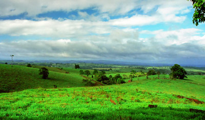Gröna kullar i Atherton tableland
