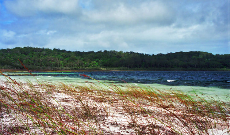 Lake Birrabeen strand på Fraser Island