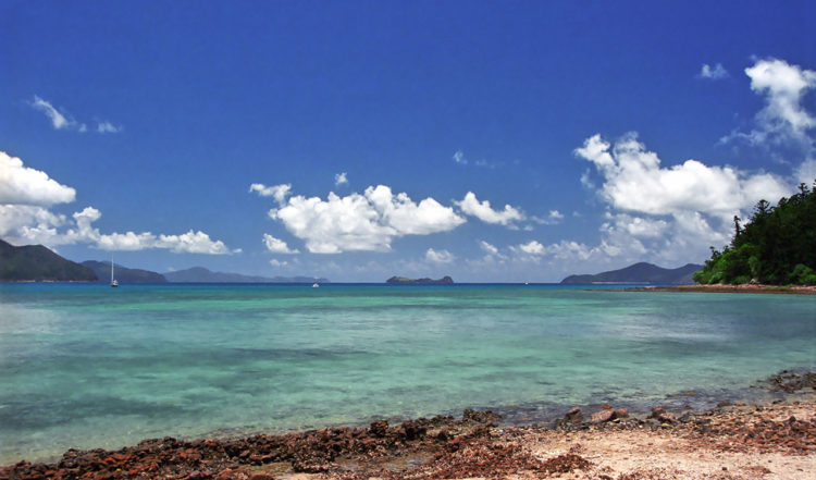 Tounge Bay, Whitsundays i Queensland