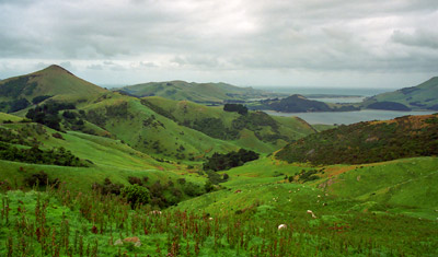 Vackra vyer längst vägen, Otago Peninsula