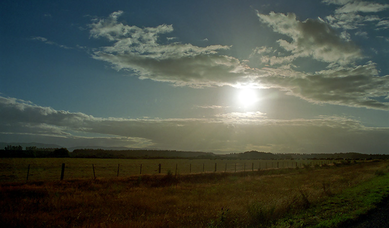På väg mot Milford Sound vid tidig gryning