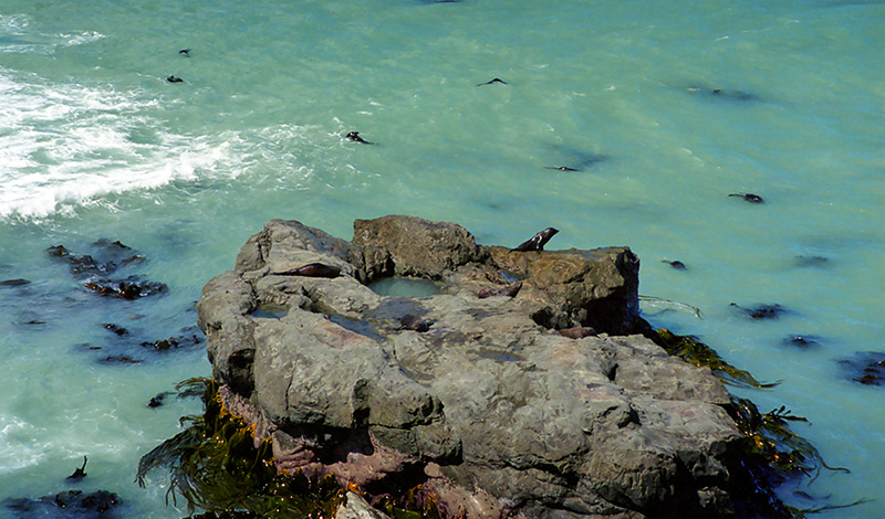 Sjölejon, Ohau Point lookout