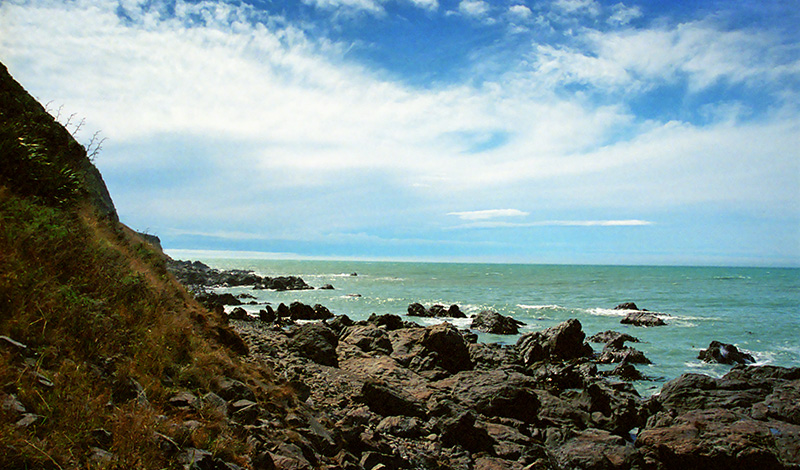 Nya Zeelands nordöstra kust