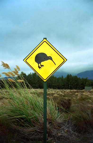 Kiwi vägskyld, Nya Zeeland Kiwi vägskyld, Nya Zeeland