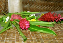 Söderhavsblommor i Fale på Tanu Beach, Samoa