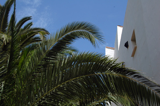 Vy nere ifrån trädgården, vårt vita spanska hus, grannens palm och den blå himmeln