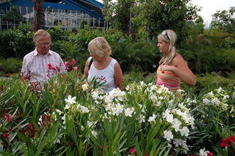 Garden Center norr om Estepona har stort utbud av allt som hör trädgård, blommor och växter till.