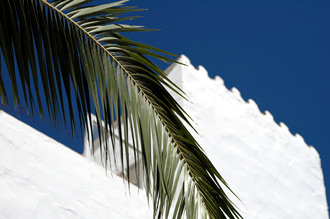 Himmel, palmblad och vår takterass