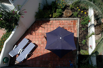 Vår trädgård sett uppifrån taket på huset