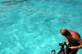 Lasse filmar vyn och ett fiskstim som simmar förbi.