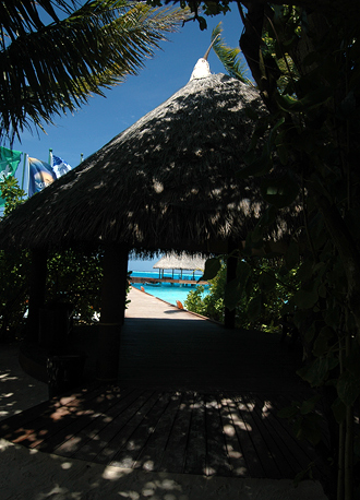 Vy över bryggan alla gäster anländer