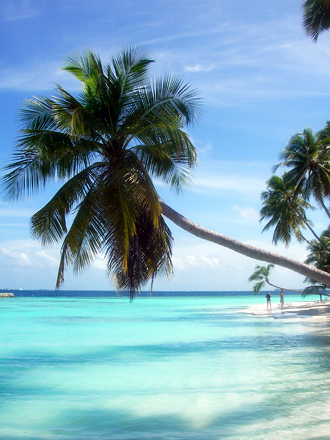 Vacker vy på väg mot husrevet