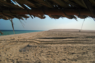 Stranden utmed Sealine Beach Resort.