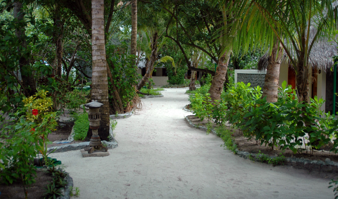 Gång till vår beach bungalow på Vilu Reef