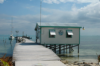 Båtterminalen på Caye Caulker