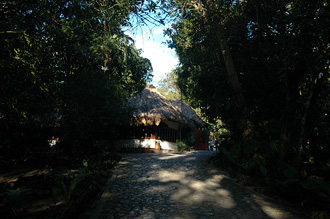 Jungle Lodge