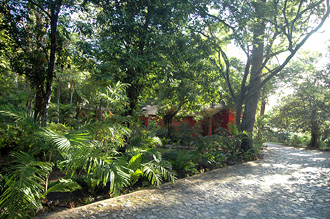 Jungle Lodge rum 10A