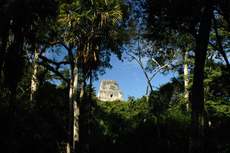 Templo IV, Tikal