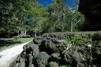 Vy vid Mundo Perdido, Tikal