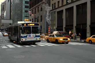 Gata i New York