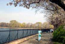 Central Park, New York